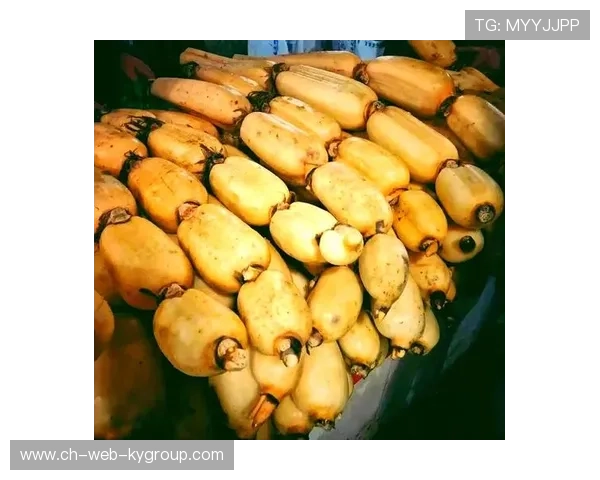 ¦ó+¡-+Â¼¦¦Â»Î¸ãÁãÁú¦ð-+³+¥¦Õ¦+Í«-ÀÁ-¦Ï+³¦+¥Í